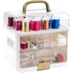 Singer Sew It-Goes-Craft Storage and Sewing Kit Neon 255 PC