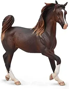 Arabian Mare Liver Chestnut