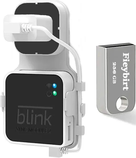 256GB USB Flash Drive and Outlet Wall Mount for Blink Sync Module 2 save Space..