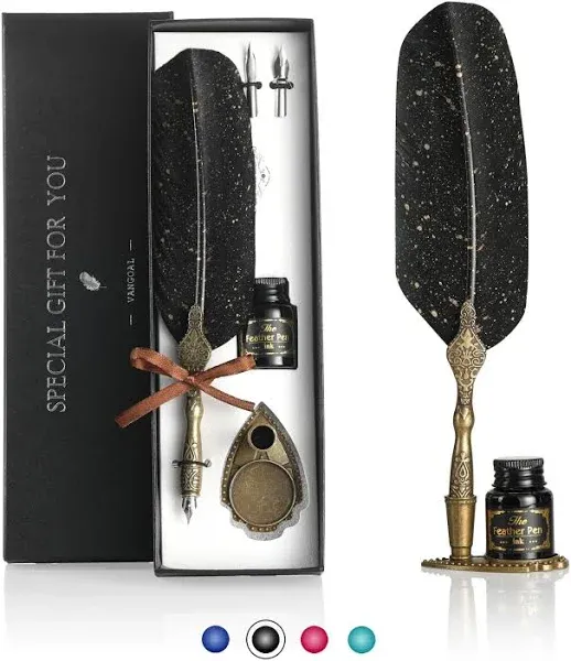 VANGOAL Vintage Black Feather Pen and Ink Set