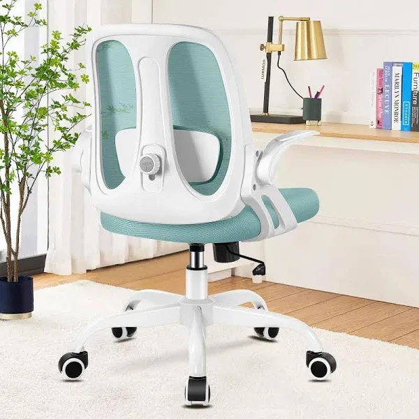 Razzor Office Chair, Ergonomic Computer Desk Chair With 2D Lumbar Support And Flip-up Arms