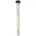 Complexion Brush