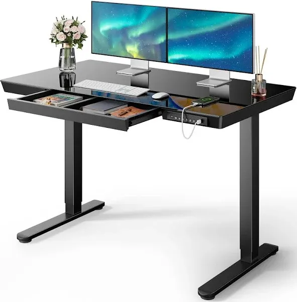 ErGear Standing Desk with Drawer, 48x24 inch One Piece Top Height Adjustable Desk, Electric Standing Desk with Charging Ports, Sit Stand Up Desk for Home Office(White Wood Top)