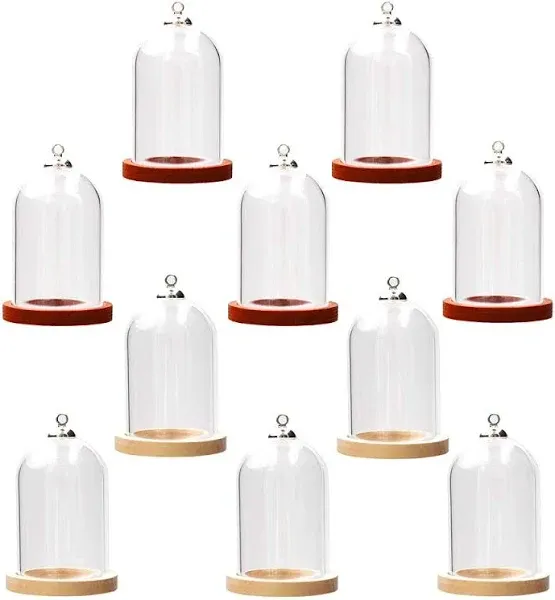 ZenRa 10 Pieces Glass Dome Charms with Wooden Base