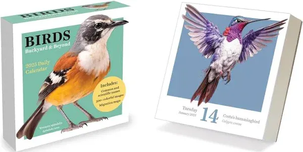 Birds: Backyard & Beyond 2025 Daily Desktop Calendar