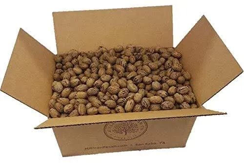 Millican Pecan Texas Squirrel Grade In Shell & Cracked Pecans Bulk