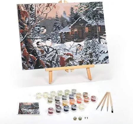 DIY Paint by Numbers Kit for Adults Framed Canvas Beginner to Advanced Paint by 