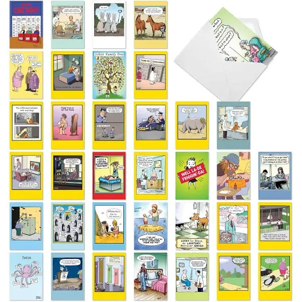 NobleWorks - 36 Assorted Funny Birthday Cards Bulk Box Set with Envelopes (36 Designs, 1 Each) Unique Humor B-day Greeting Card Variety Pack for Men, Women - Whyatt's Best Wishes AC9378BDG-B1x36