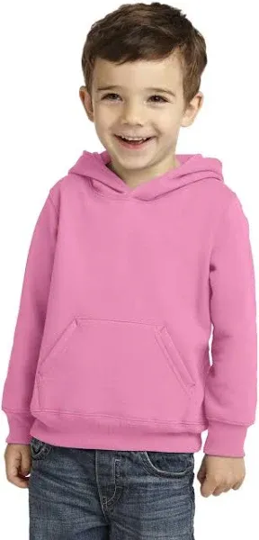 Precious Cargo Toddler Hooded Sweatshirt