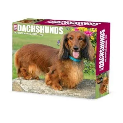 Willow Creek Dachshunds Box Calendar