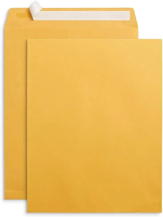 Blue Summit Supplies 100 10” x 13” Catalog Envelopes, Self Seal, For Mailing Catalogs, Magazines and Other Thick Documents, No Window, 28 lb Paper Envelopes, 100 Pack