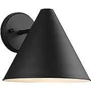 Crittenden Dark Sky Outdoor Wall Light