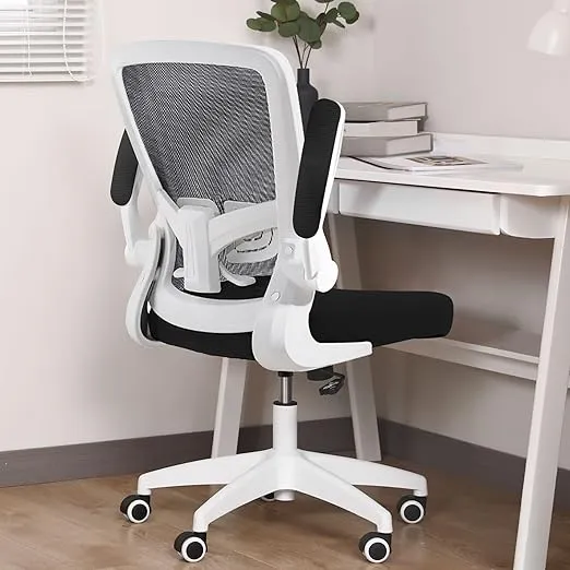 FelixKing Office Chair, Ergonomic Desk Chair with Adjustable Height and Lumbar Support Swivel Desk Computer Chair with Flip up