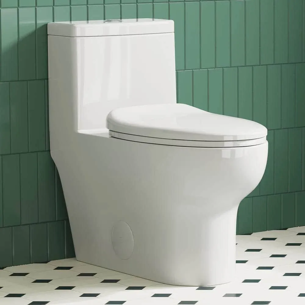 Eridanus One Piece Toilet, Elongated with Soft Closing Seat, Comfortable ADA Compliant 17" Chair Height Seat, Powerful & Quiet Dual Flush (1.1/1.6 GPF), 12" Rough-In