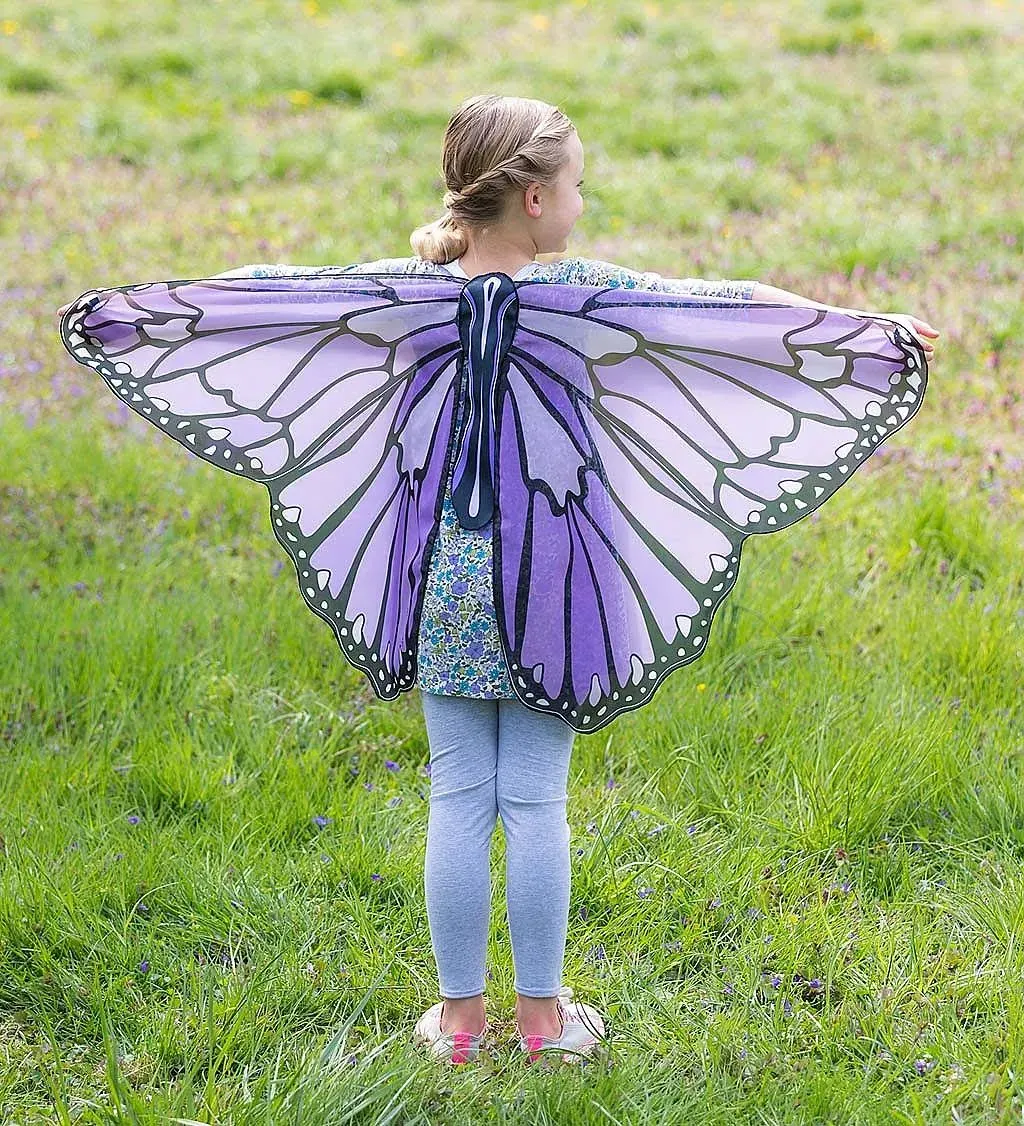 Colorful Butterfly Wings Costume