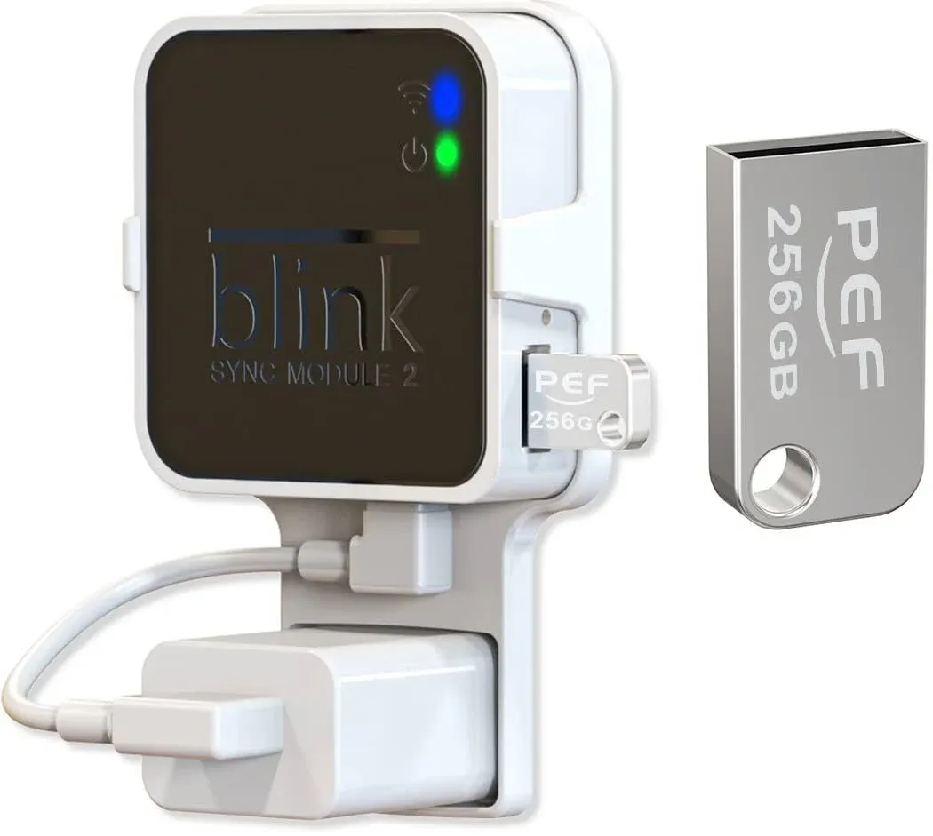 256GB Blink USB Flash Drive and Outlet Wall Mount for Blink Sync Module 2, Space