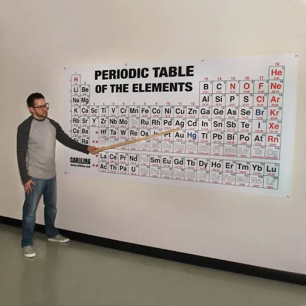 Carolina Biological Supply Company Periodic Table of the Elements Chart, Large