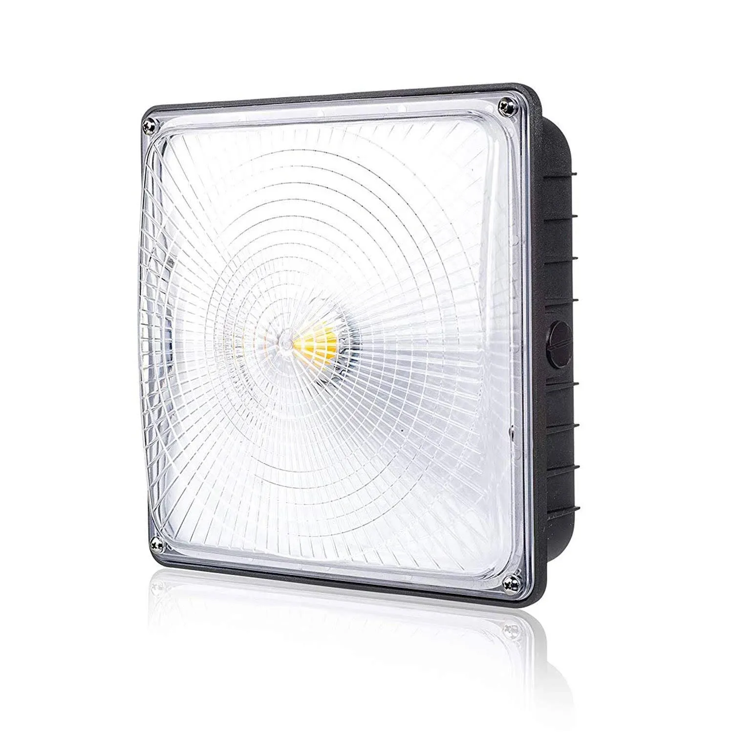 Parmida 45W Dimmable LED Canopy Light