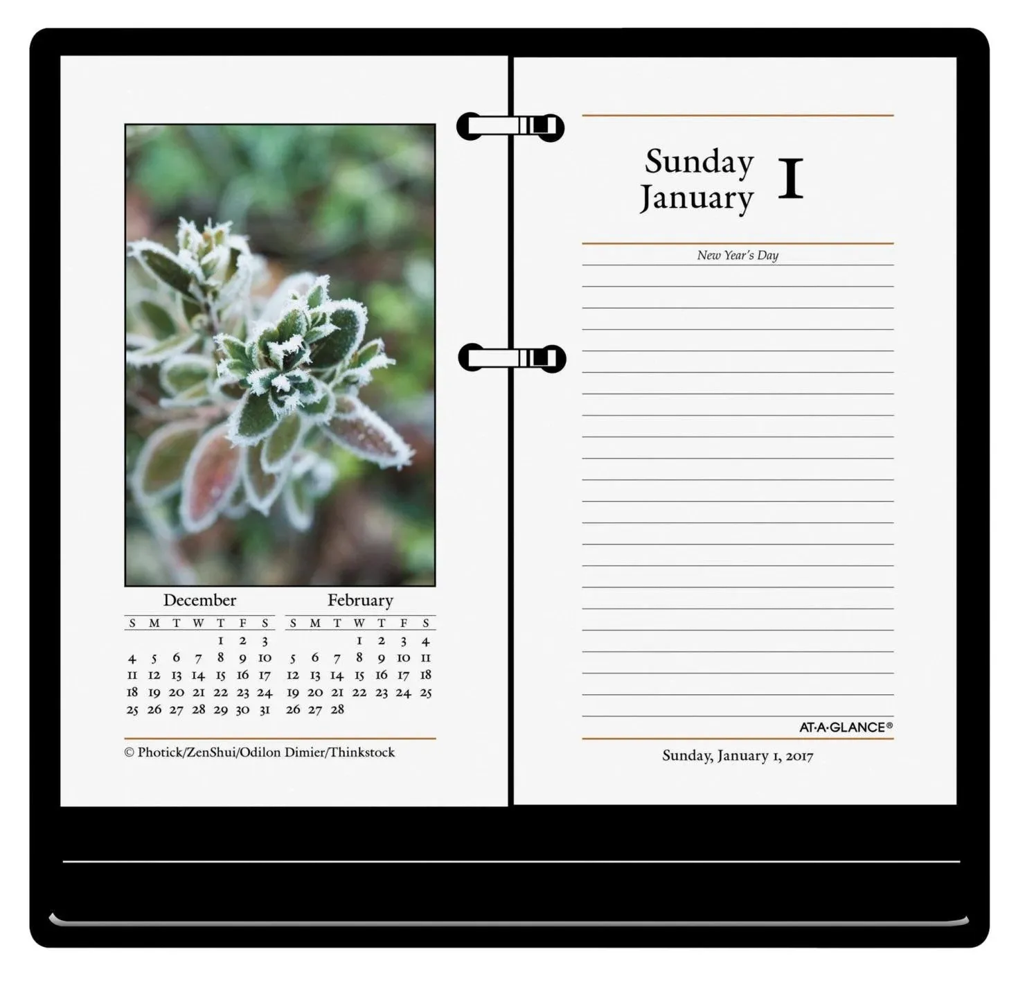 AT-A-GLANCE 2025 Daily Photographic Loose-Leaf Desk Calendar Refill