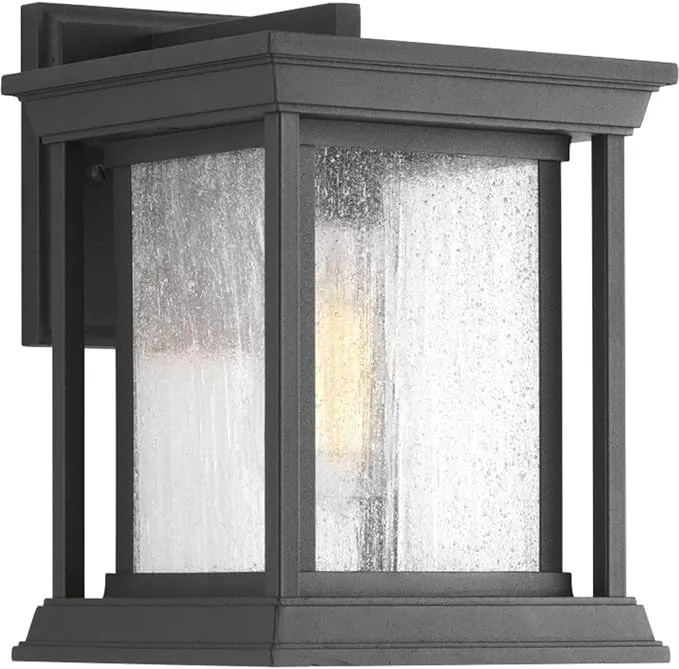 Progress Lighting P5605-31 Endicott Outdoor, Black