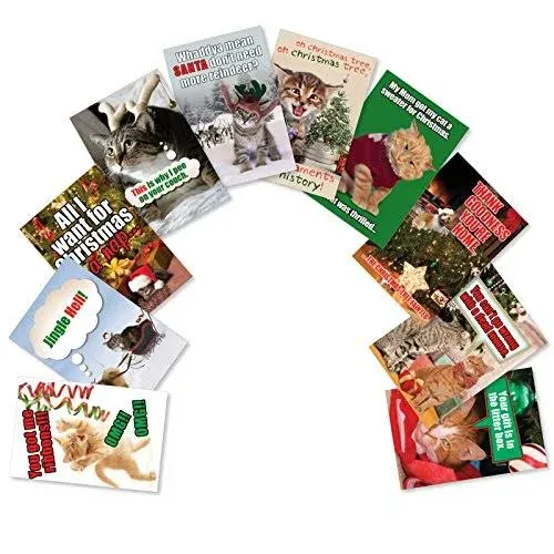 NobleWorks - 10 Funny Assorted Christmas Cards Boxed - Happy Holiday Assortment, Notecards with Envelopes - Happy O+D Holidays AC3430XSG-B1x10