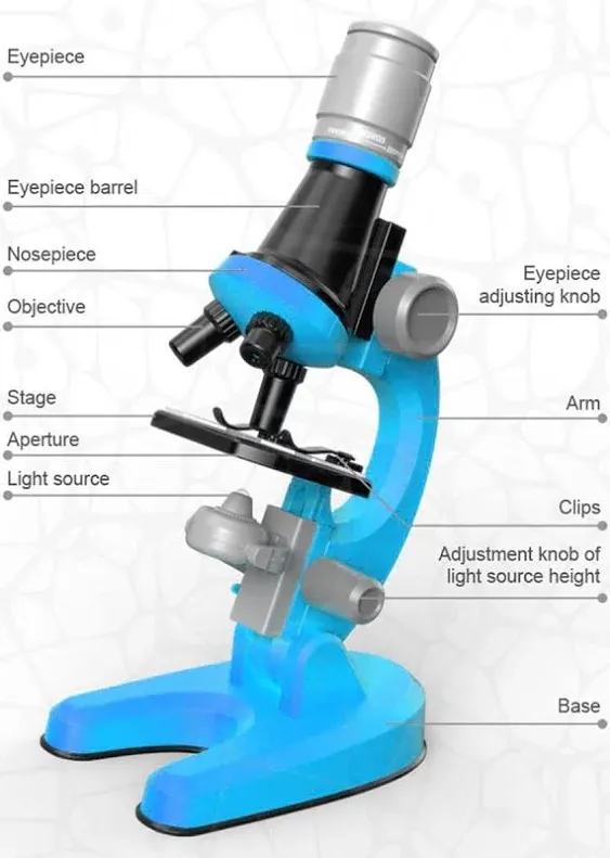 Lieonvis Microscope for Kids100X-2000X Magnification Kids Science Toys Microscope ...