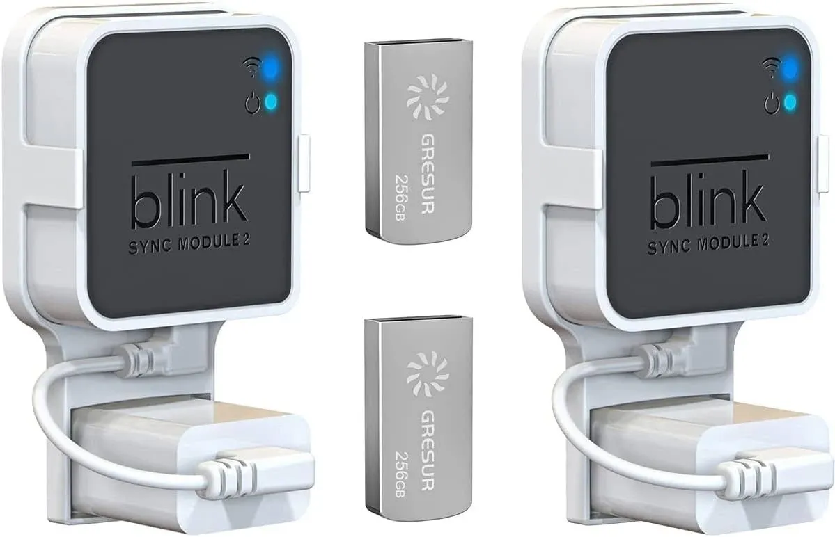 256GB Blink USB Flash Drive for Local Video Storage with The Blink Sync Module 2 Mount Blink AddOn Sync Module 2 Is Not Includ