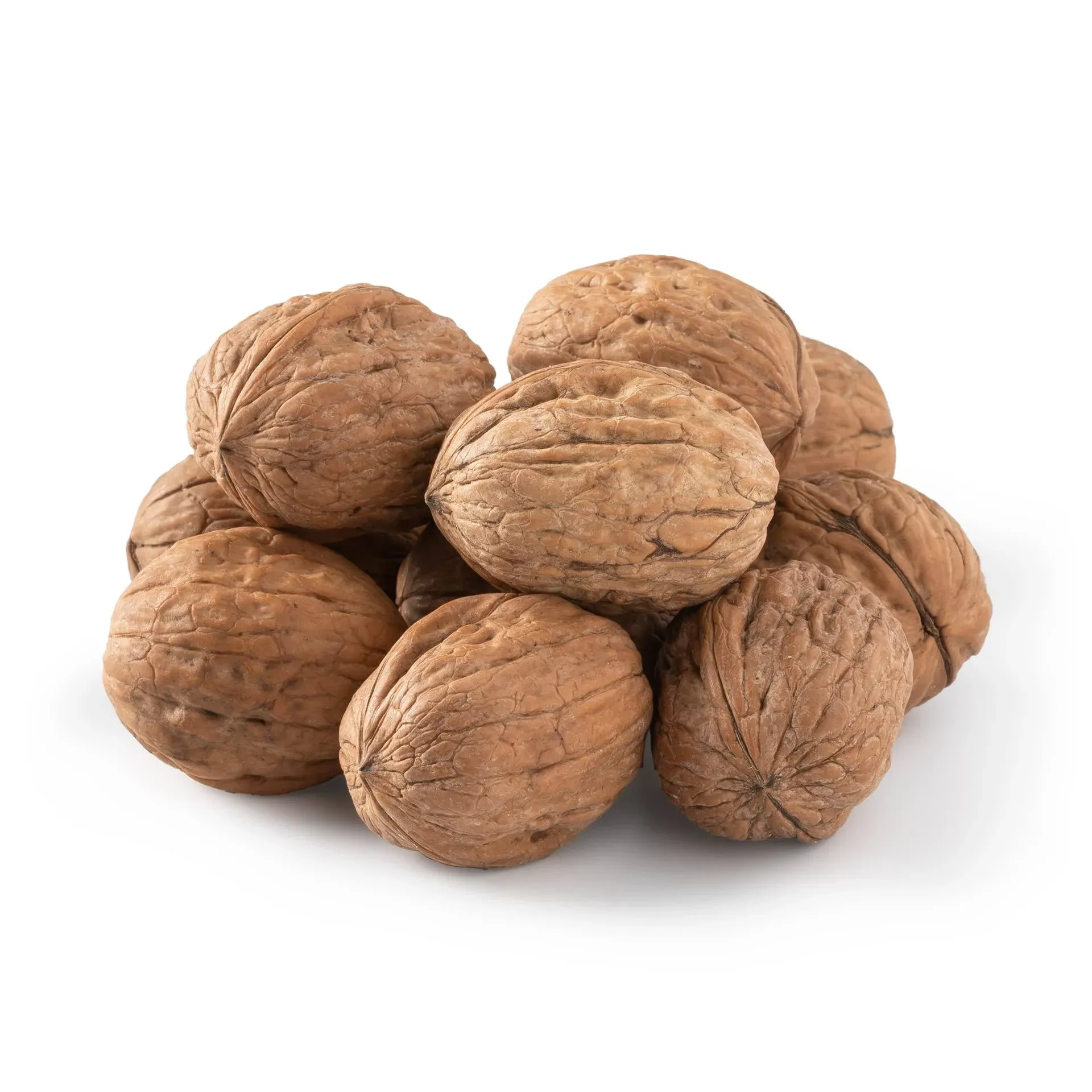 Nuts U.S. - Walnuts in Shell | Grown and Packed in California | Jumbo Size and Chandler Variety | Fresh Buttery Taste and Easy to Crack | Non-GMO