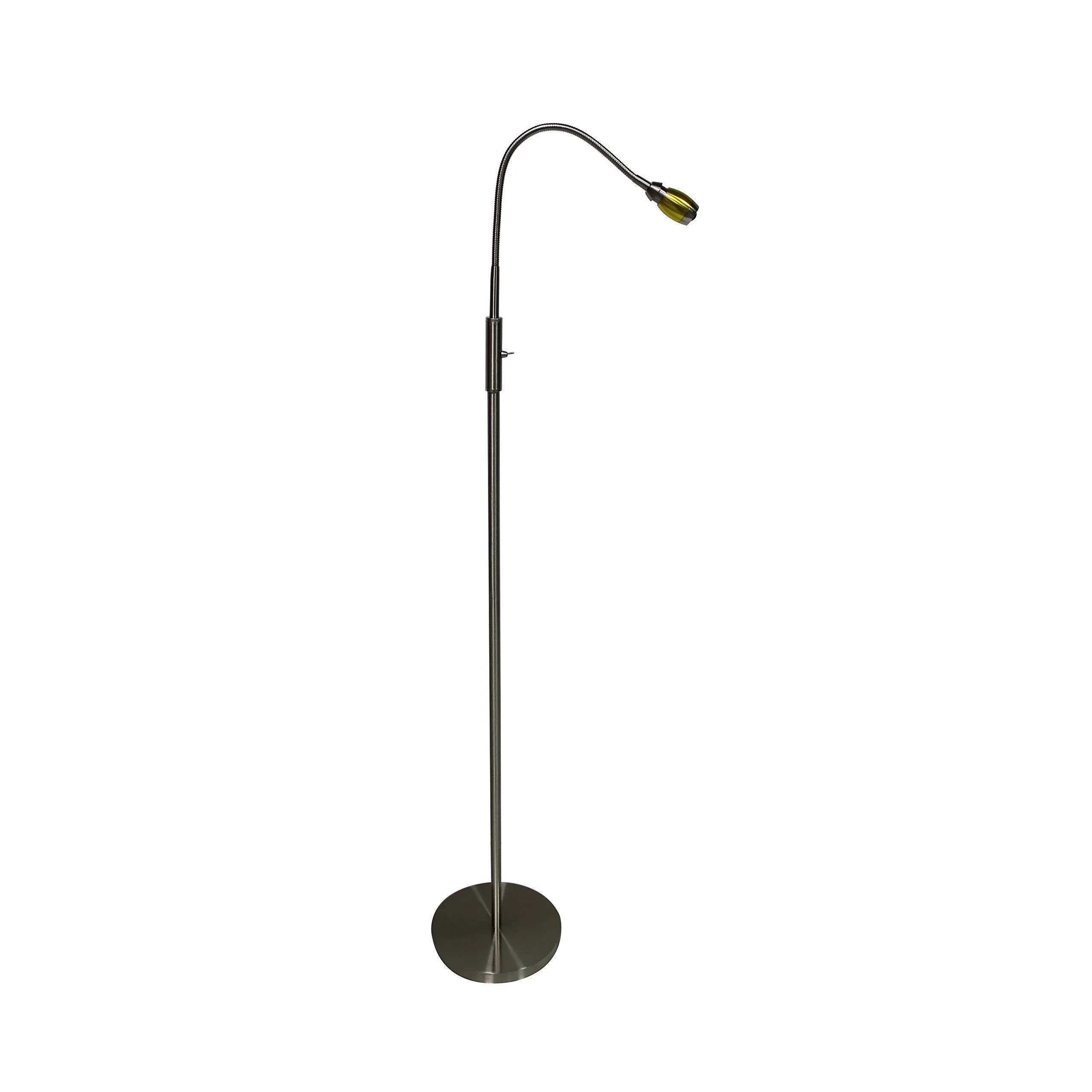 Focused Beam Natural Light Gold Floor Lamp