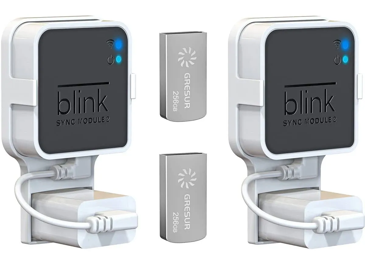 256GB Blink USB Flash Drive for Local Video Storage with the Blink Sync Module 2