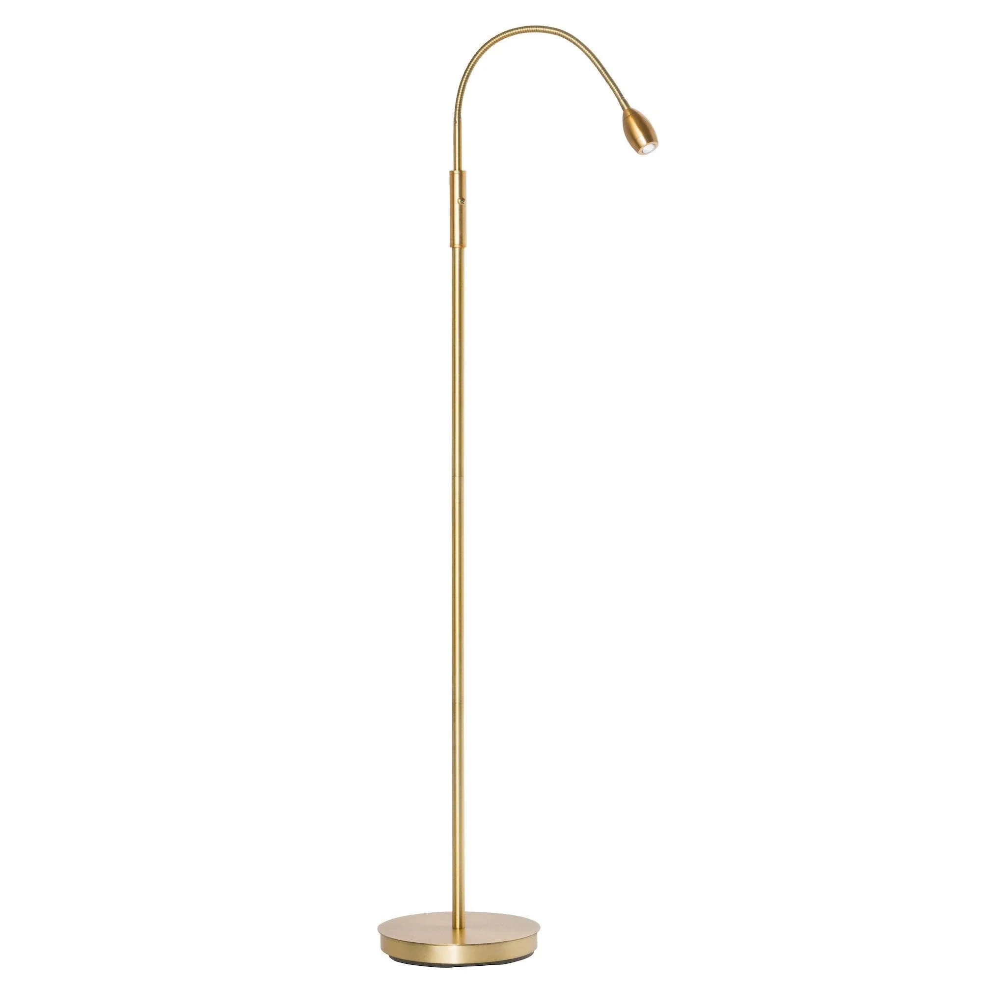 Daylight24 Focus Adjustable Beam LED Floor Lamp