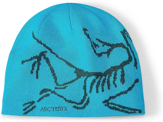 Arc'teryx Bird Head Toque | Our Classic Winter Toque