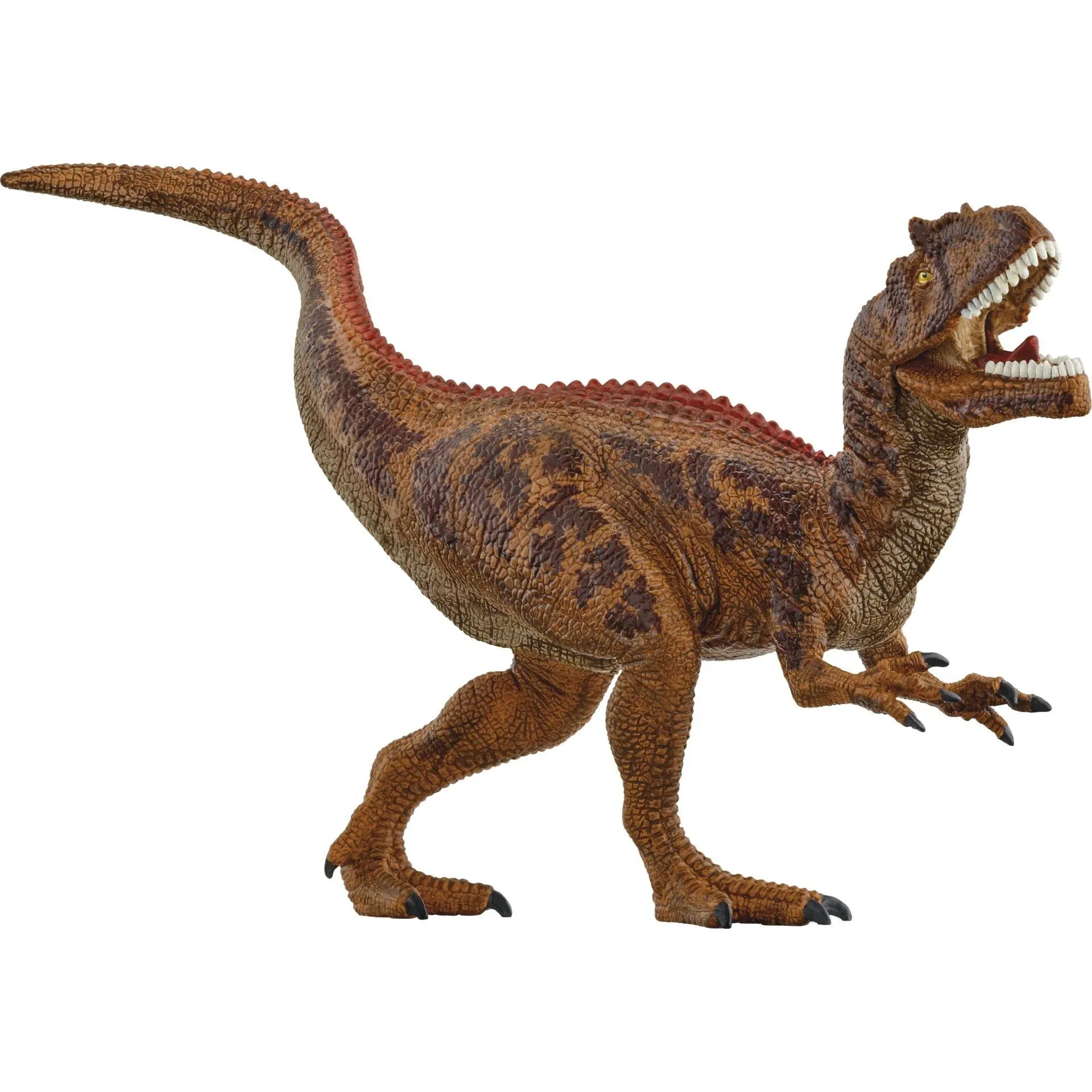 Allosaurus