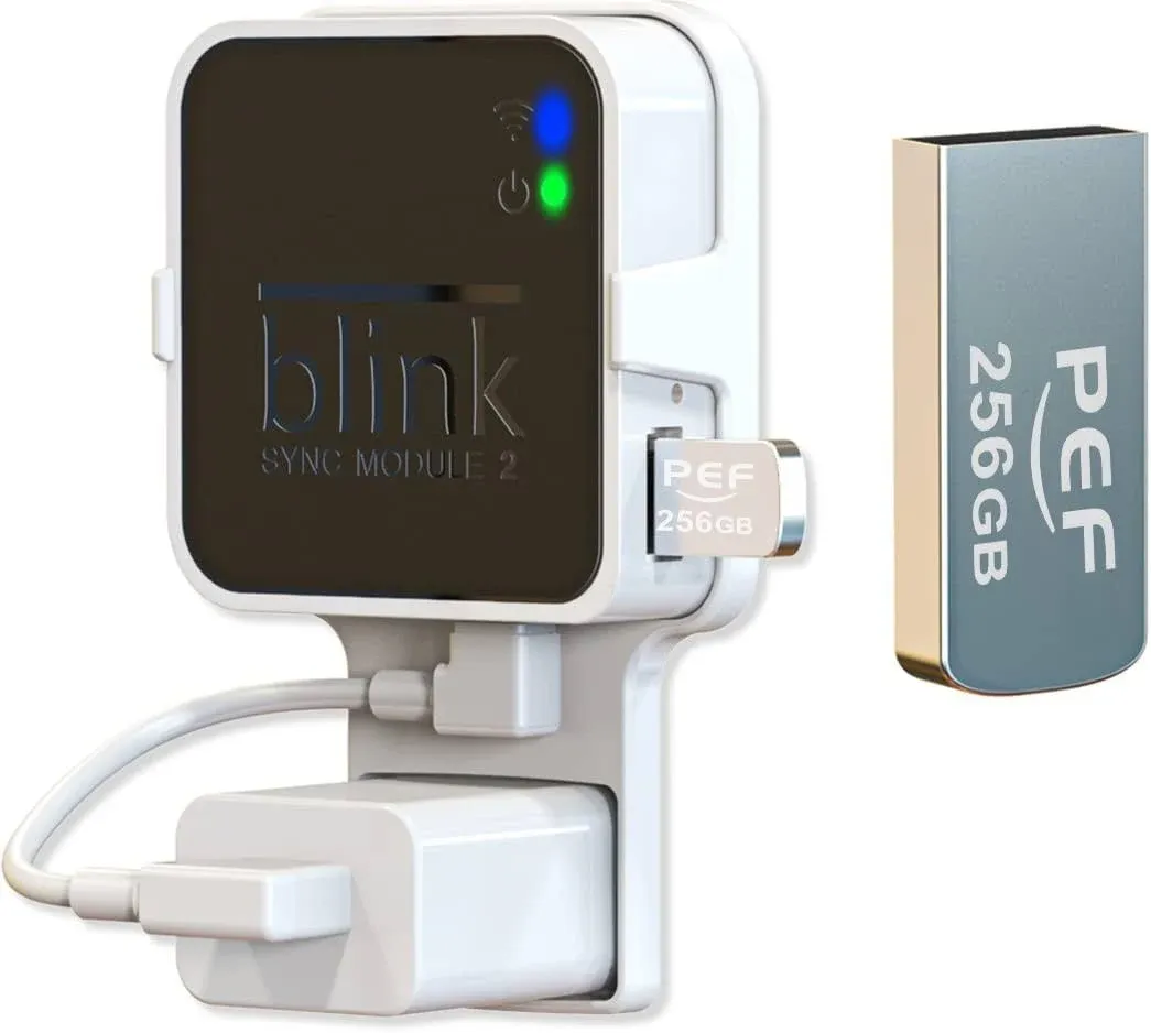 256GB Blink USB Flash Drive for Local Video Storage and the Outlet Mount for Bli