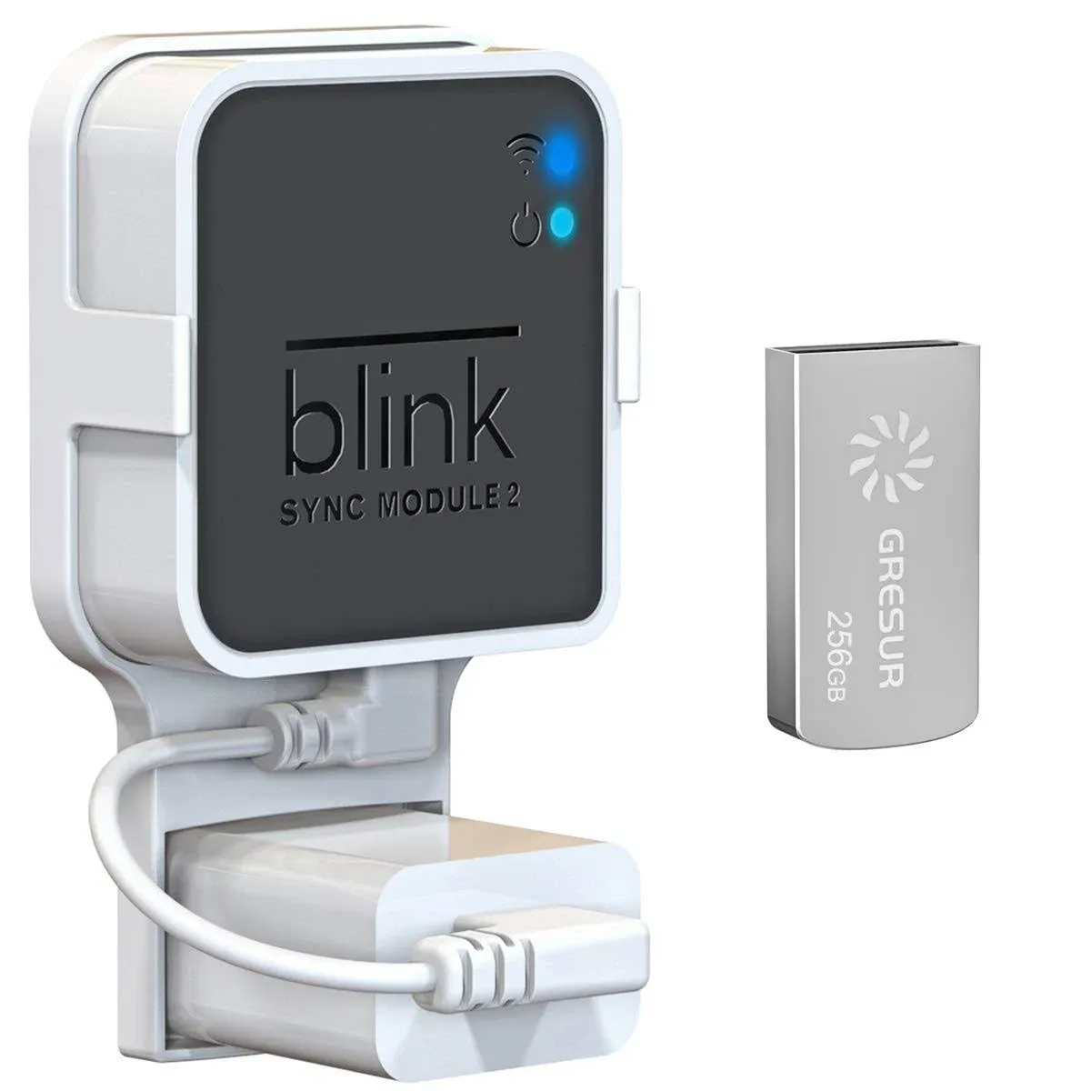 256GB USB Flash Drive for Local Video Storage with The Blink Sync Module 2 Mo...