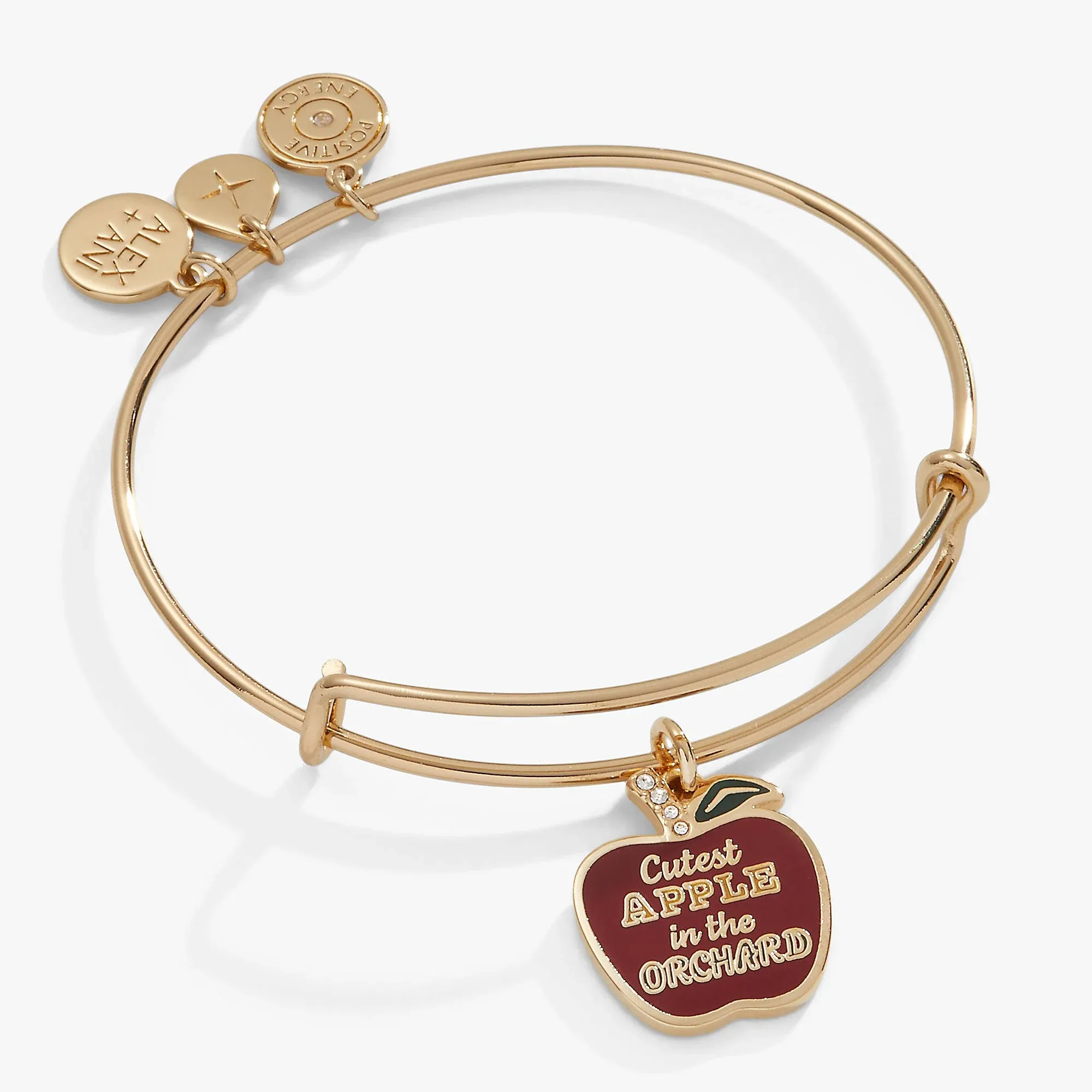 Alex and Ani Apple Orchard Charm Bangle Bracelet in Shiny Gold