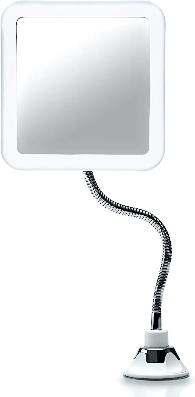 Modern Lighted Magnifying Makeup Mirror - Wayfair | Havenly