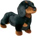 Douglas Spats Black & Tan Dachshund