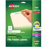 Avery Removable Filing Labels, Removable Adhesive, 2/3" x 3-7/16", 750 Labels (8066)