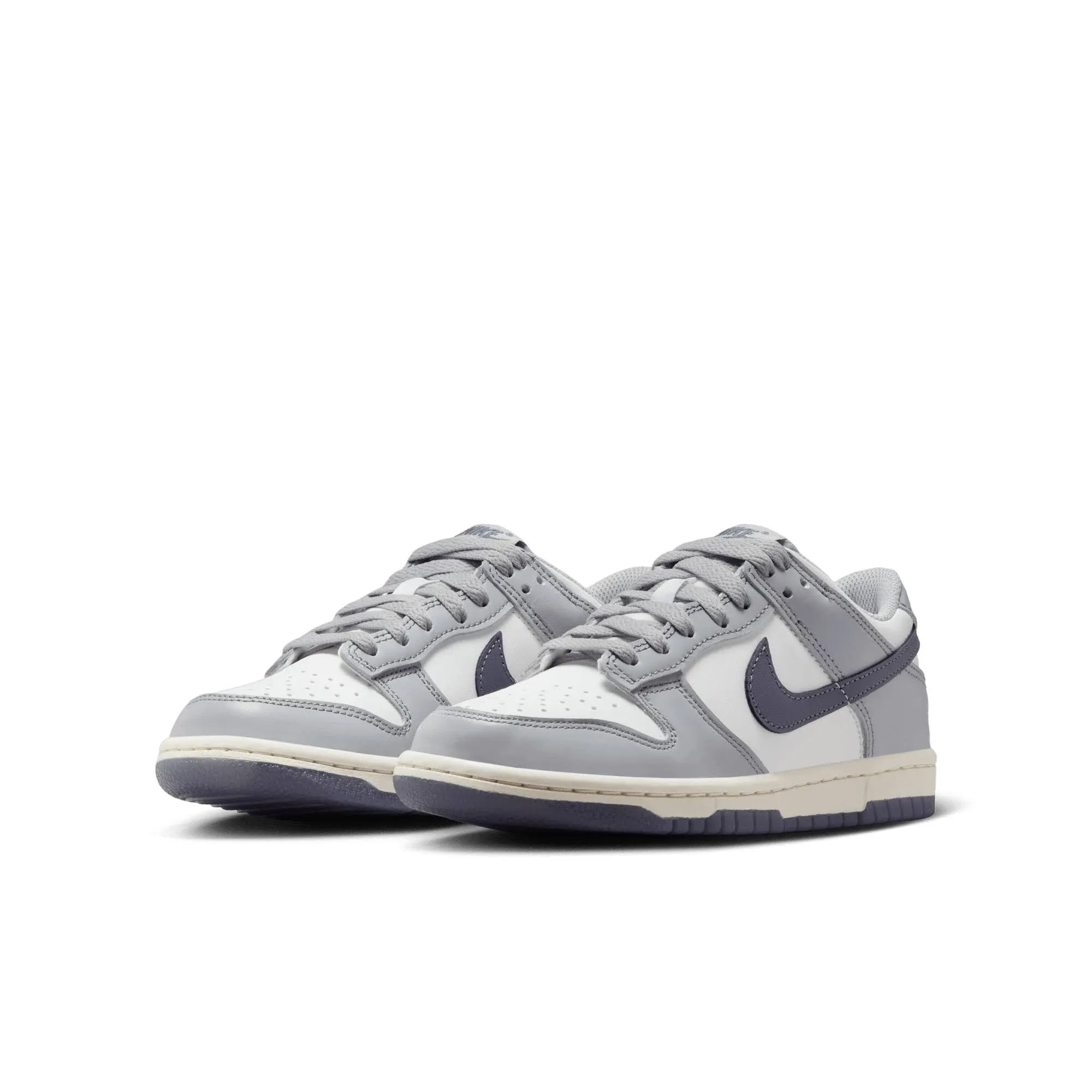 Nike Dunk Low FB9109-101