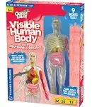 Thames &amp; Kosmos Ooze Labs Visible Human Body with Squishable Organs Science Kit